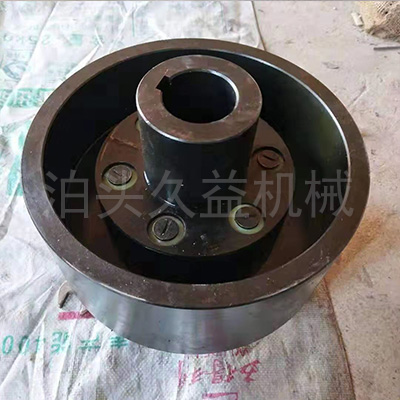 TLL型帶制動輪彈性